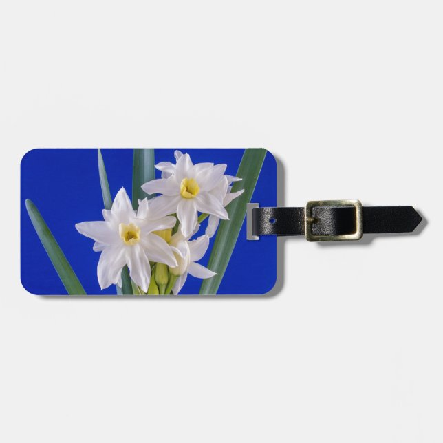 Narzissenfrühling Gepäckanhänger (Vorderseite horizontal)