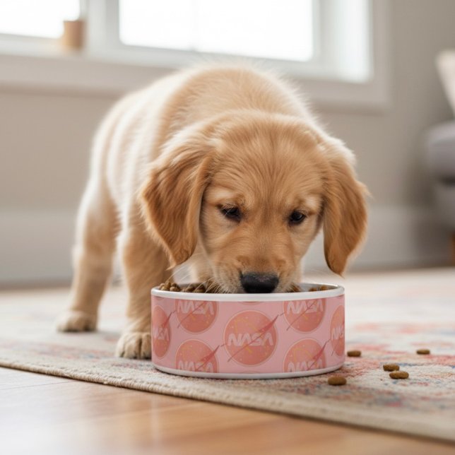 Nasa Bowl Napf (Von Creator hochgeladen)