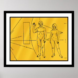 NASA Pioneer 10 Raumsonde Goldplakette Poster