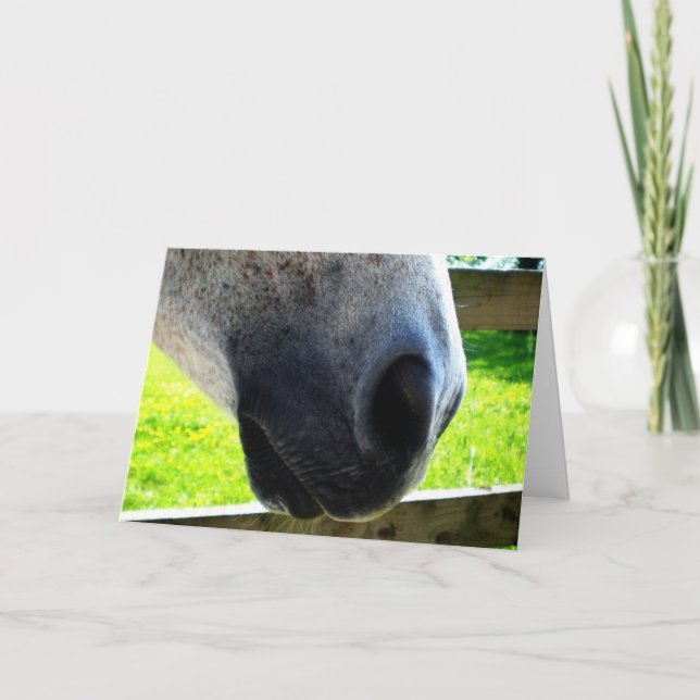 Nase Karte (Vorderseite)