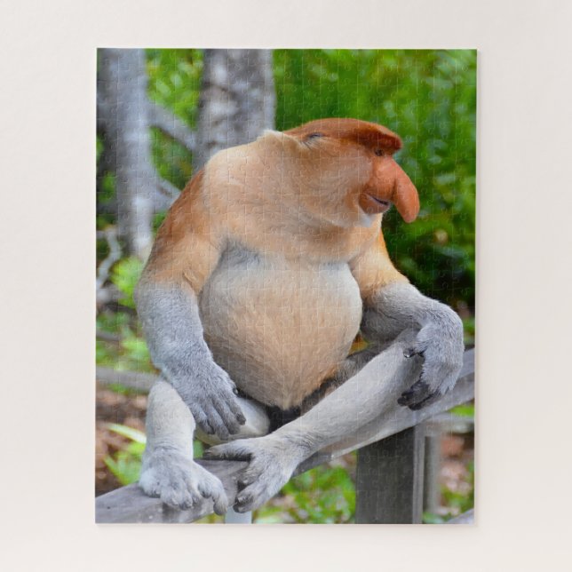 Nasenaffe. (Vertikal)