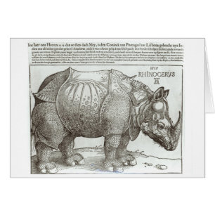 Nashorn, Druck gegeben Maximilian I (1459-1519