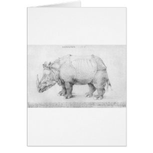 Nashorn durch Albrecht Durer