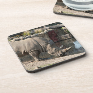 Nashorn Getränkeuntersetzer