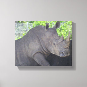 Nashorn im Wald im Fokus Leinwanddruck