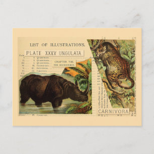 Nashorn Jaguar Tierillustrationen Postkarte