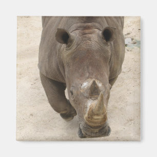 Nashorn Magnet