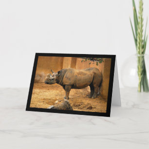 Nashorn Rücken an der Wand Karte