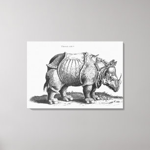 Nashorn, von 'Historia Animalium Leinwanddruck