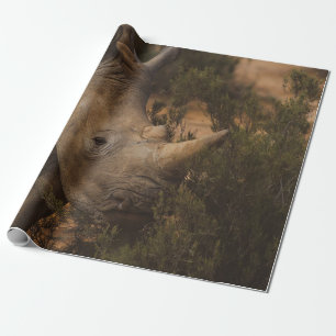 NASHORN WILDTIERE GESCHENKPAPIER