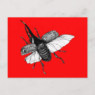 Nashornkäfer Vintage-Holzschnitt Postkarte
