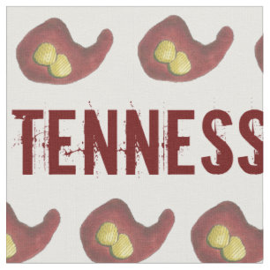 Nashville Hot Chicken w/ Pickles TENNESSEE TN Food Stoff