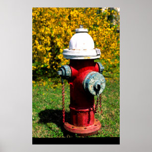 Nashville-Hydrant Poster