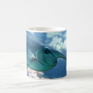 Naso brevirostris kaffeetasse