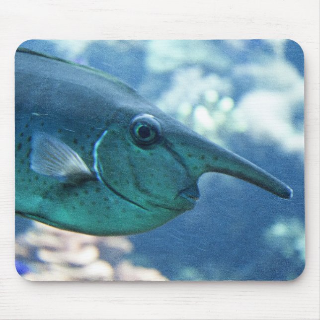 Naso Brevirostris Mousepad (Vorne)