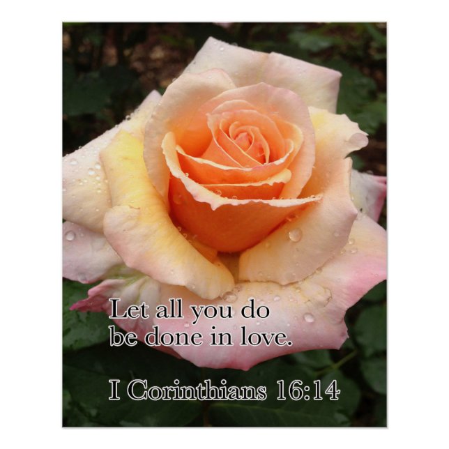 NASS ROSE MIT LIEBE POSTER (Vorderseite)