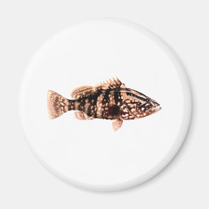 Nassau-Barsch Magnet