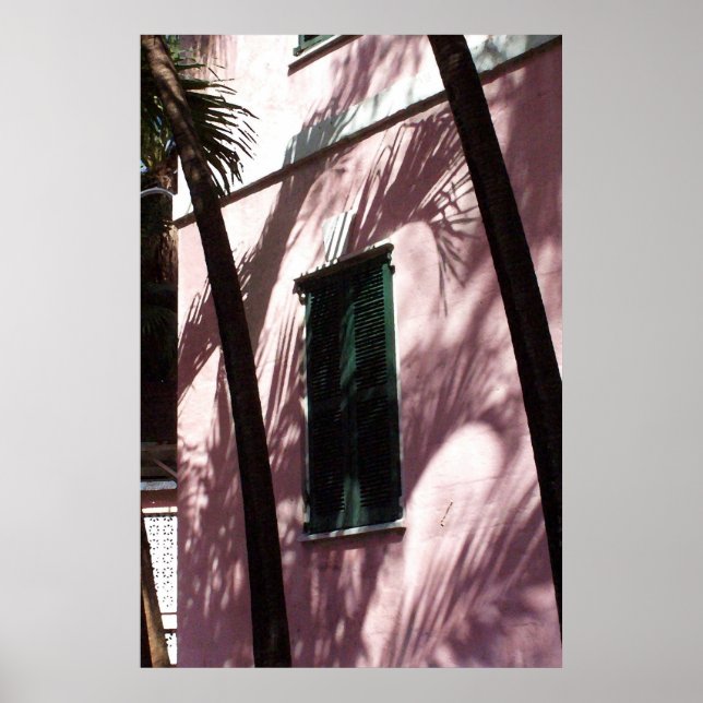 Nassau Library Pastel Pink Poster Print (Vorne)