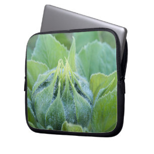 Nasse Sonnenblume-Knospen-nahe hohe Fotografie Laptopschutzhülle