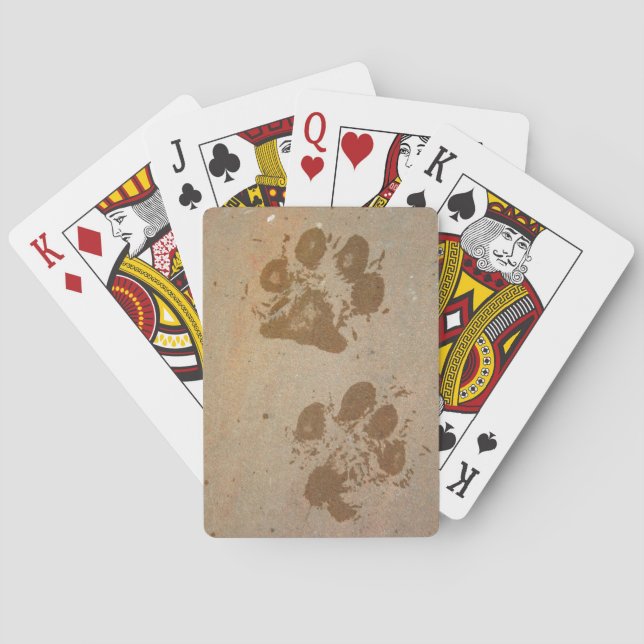 Nasse Tatzen-Drucke Spielkarten (Rückseite)