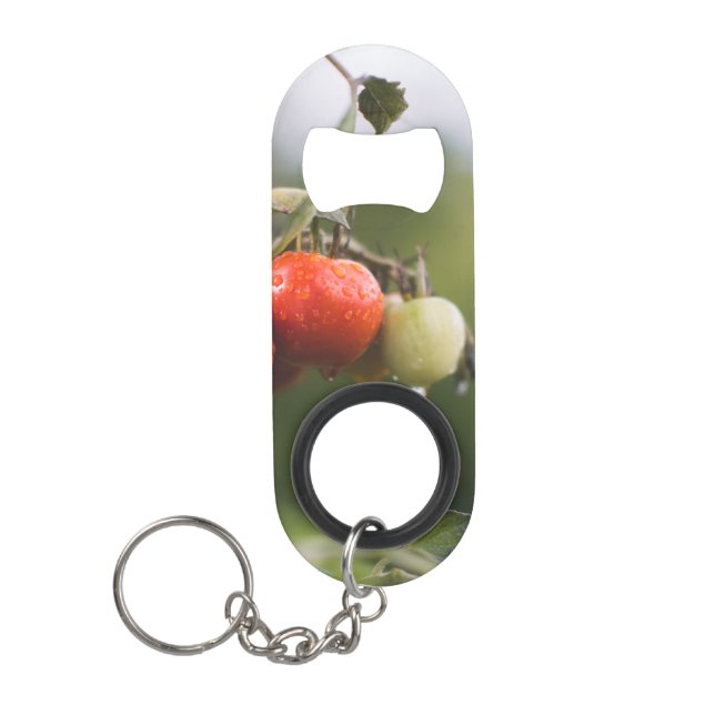 nasse Tomaten im Rind Mini Flaschenöffner (Vorderseite)
