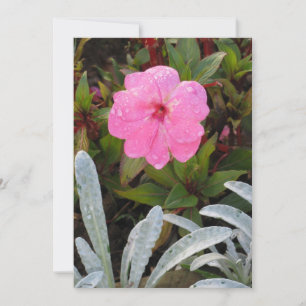 Nasseinladung, Blume anpassen Einladung