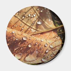 Nasser Herbstleaf - Magnet
