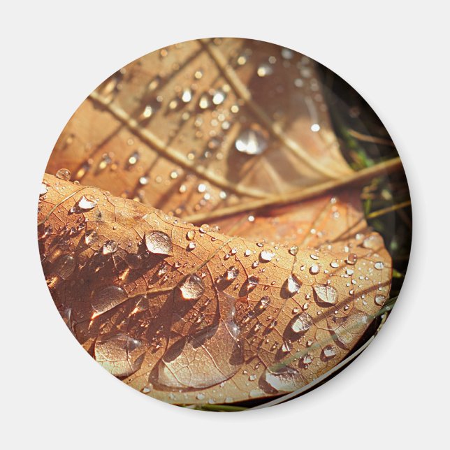 Nasser Herbstleaf - Magnet (Vorne)