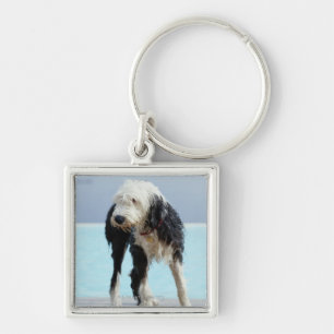 Nasser Hund durch einen Swimmingpool Schlüsselanhänger