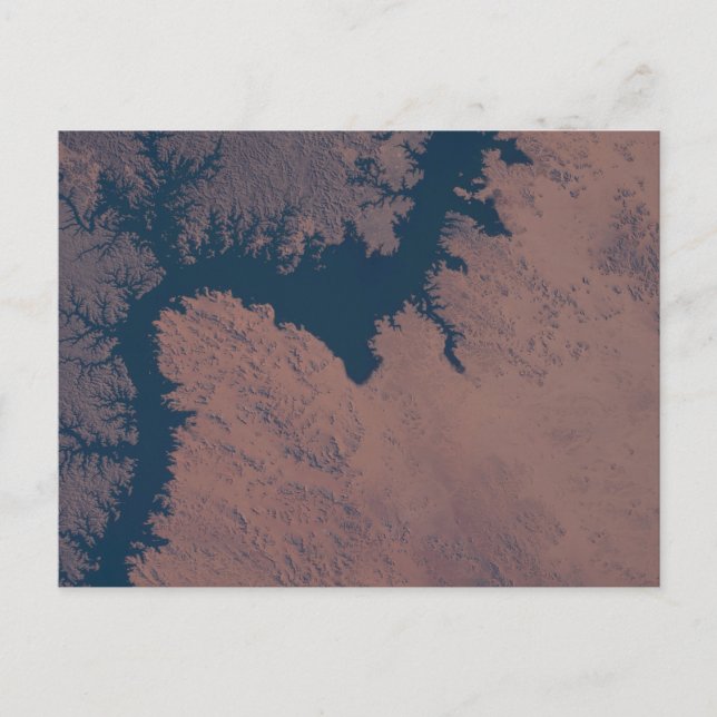 Nasser Postkarte (Vorderseite)