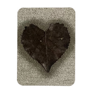Nasses herzförmiges Blatt auf dem Bürgersteig Foto Magnet