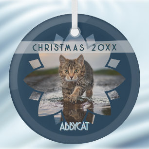 Nasses Katzenfoto in einer Blume auf Blau gerahmt Ornament Aus Glas