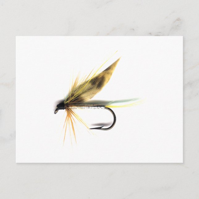Nassfliegen (Cumming's) Postkarte (Vorderseite)