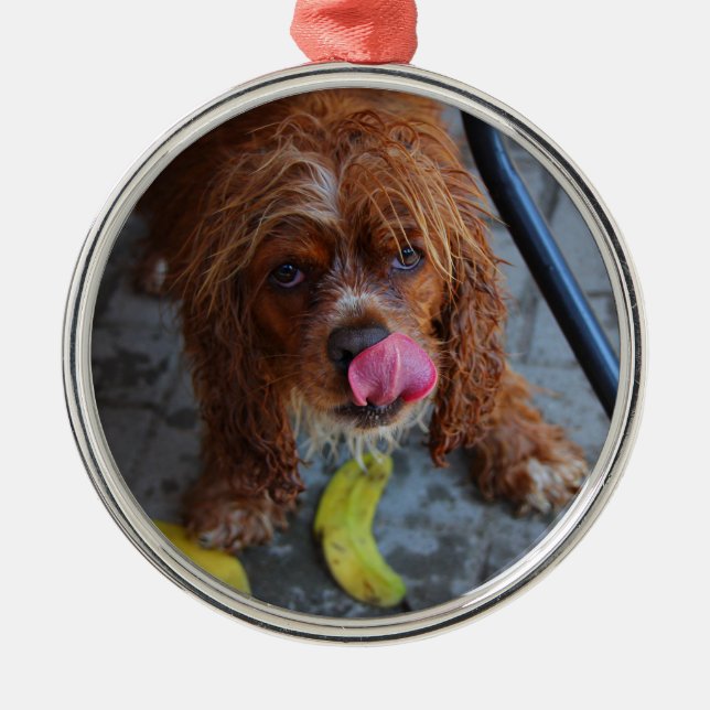Nasshund mit Banane Ornament Aus Metall (Vorne)