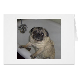 Nasspooter, leere Karte