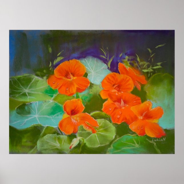 Nasturtium Bloom - Botanical Pastel Poster (Vorne)