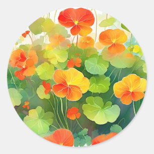 Nasturtium-Blume Lebhaft Runder Aufkleber