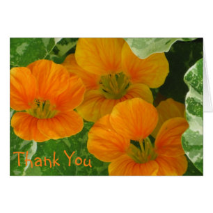 Nasturtium Dankeschön Karte