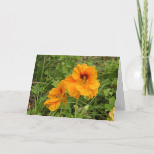 Nasturtium Karte