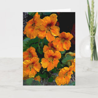 Nasturtium Karte