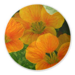 Nasturtium-Keramik Keramikknauf