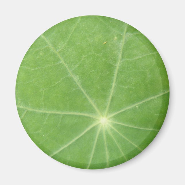 Nasturtium Leaf Magnet (Vorne)