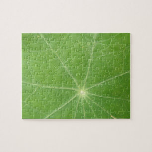 Nasturtium Leaf Puzzle
