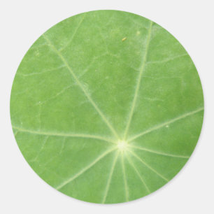 Nasturtium Leaf Stickers