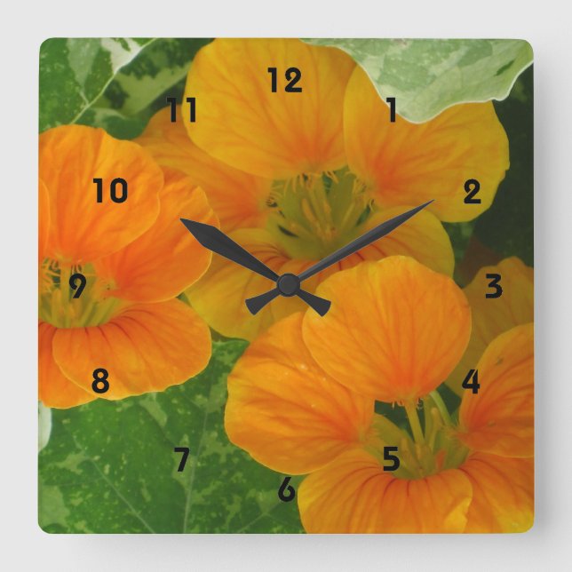 Nasturtium Wall Clock Quadratische Wanduhr (Vorderseite)