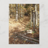 Natchez-Pfad im Herbst