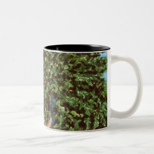 Nathanael und der Feigenbaum Zweifarbige Tasse
