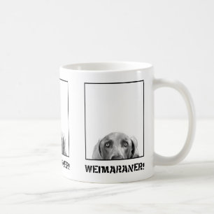 Nation de Weimaraner : Weimaraner dans une tasse
