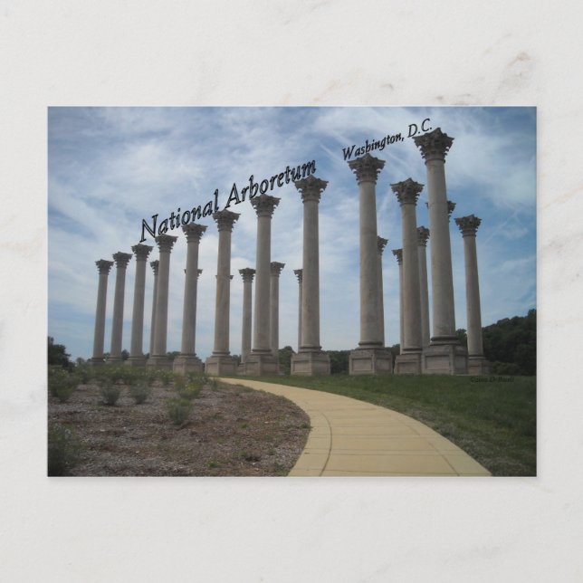 National Arboretum Washington DC Postkarte (Vorderseite)