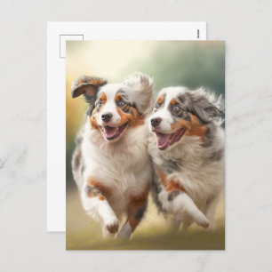 National Australian Shepherd Day, Aussie Dogs Feiertagspostkarte
